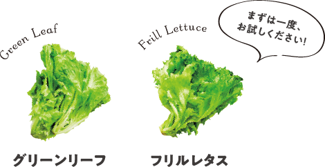 まずは一度、お試しください!