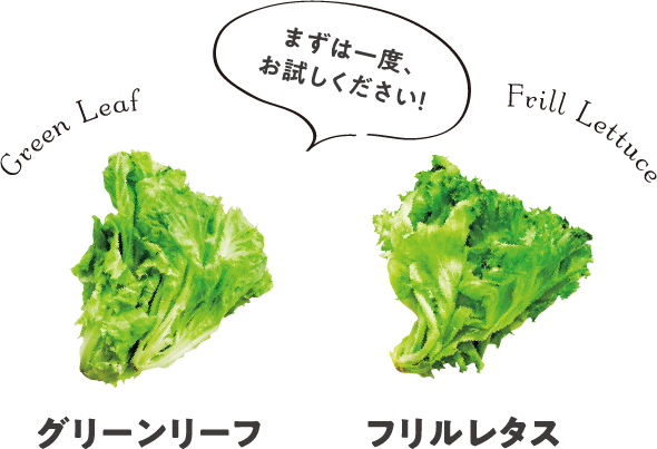 まずは一度、お試しください!