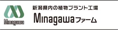 新潟県内の植物プラント工場 Minagawaファーム