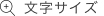 文字サイズ