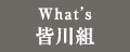 What’s 皆川組