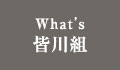 What’s 皆川組